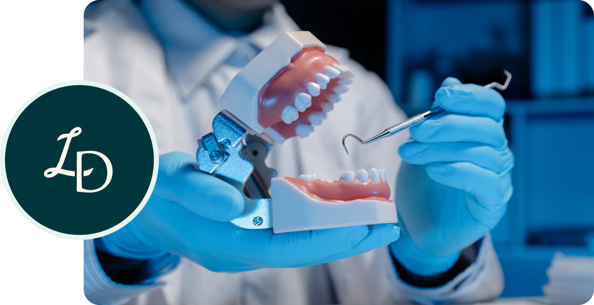 A person in gloves holds a dental model and dental tool, demonstrating dental care. A circular logo with L D is on the left. The background is blue-tinted and clinical.