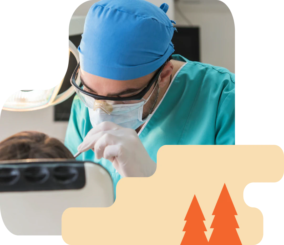 A dentist in blue scrubs and a mask examines a patient's mouth using dental tools in a clinic, with an illustrated beige and orange forest overlay at the bottom right.