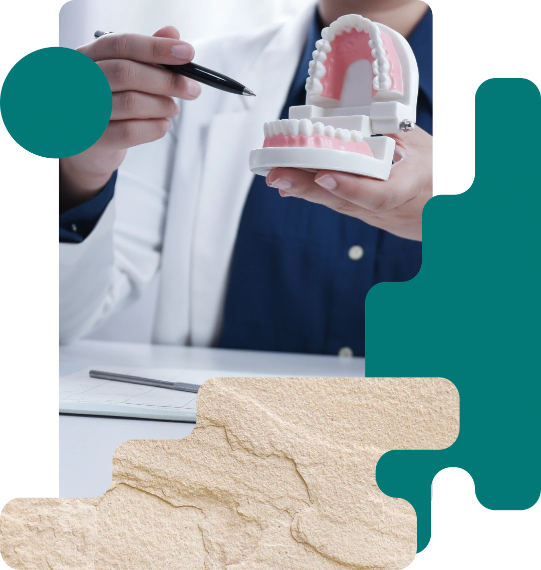 A person in a white coat points at a dental model showing teeth and gums, suggesting a dental consultation. Abstract teal and beige shapes decorate the image.