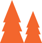 Two simple, stylized orange pine trees, one larger and one smaller, on a light gray background.